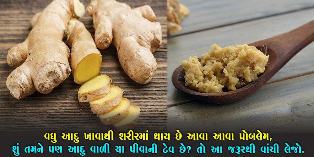 વધુ પડતું આદુ ખાવું એ સ્વાસ્થ્ય માટે જોખમી સાબિત થઈ શકે છે.. આદુ વાળી ચા પીનારા જરૂર વાંચે.