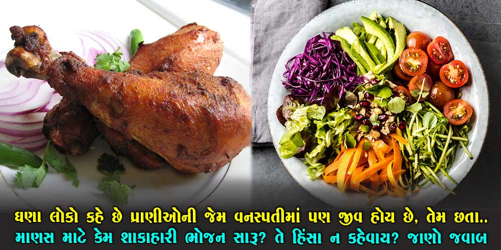 માંસાહારમાં પણ જીવ હોય છે અને વનસ્પતિમાં પણ જીવ હોય છે…જાણો માણસો માટે કયું ભોજન શ્રેષ્ઠ?