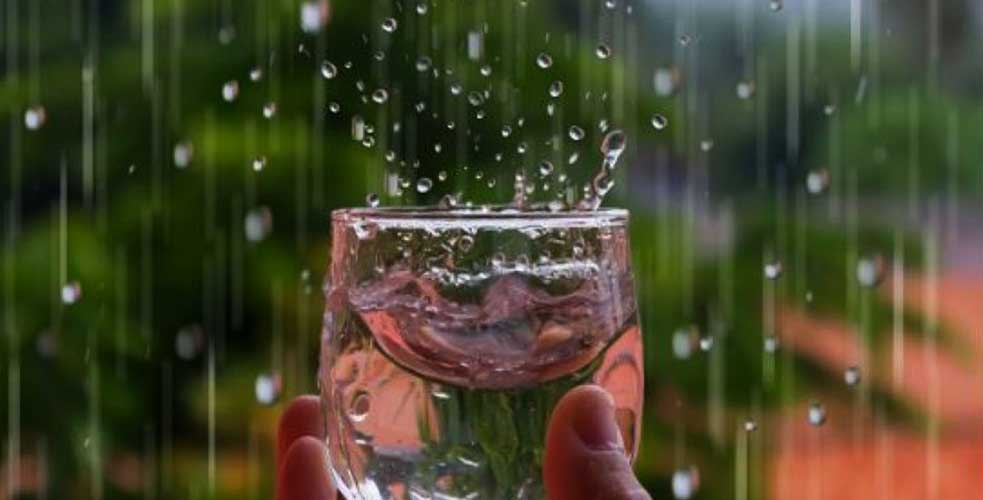 શું વરસાદનું પાણી પીવું હિતાવહ છે? જાણો વરસાદનું પાણી પીવું એ નુકશાનકારક છે કે નહિ?